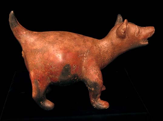 Colima Barking Action Dog, Ancient West Mexico Pre-Columbian Art