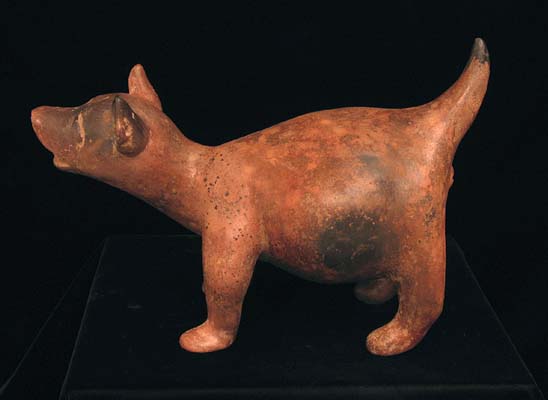 Colima Barking Action Dog, Ancient West Mexico Pre-Columbian Art
