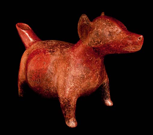 Colima Standing �Two-Tone� Dog, Ancient West Mexico Pre-Columbian Art