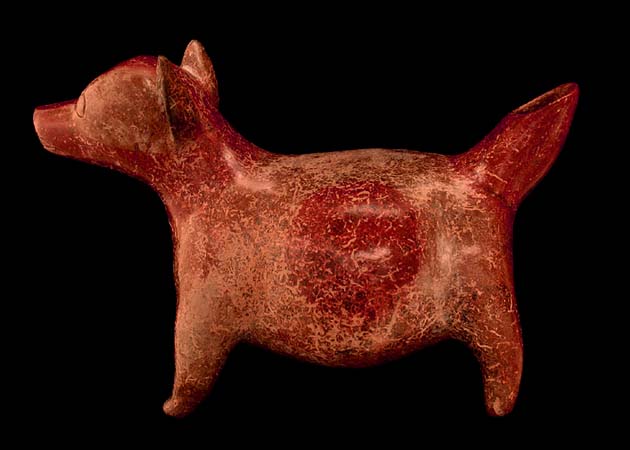 Colima Standing �Two-Tone� Dog, Ancient West Mexico Pre-Columbian Art