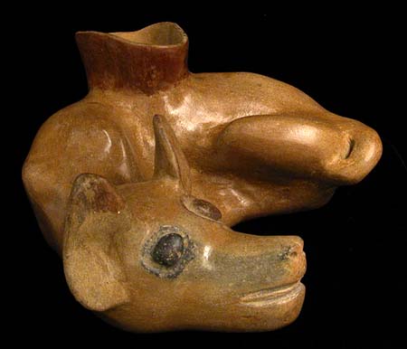 Colima Curled Dog, Ancient West Mexico Pre-Columbian Art