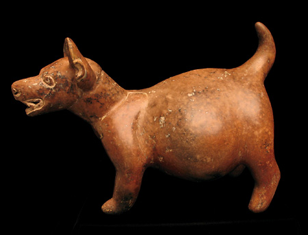 Colima Dog, Ancient West Mexico Pre-Columbian Art