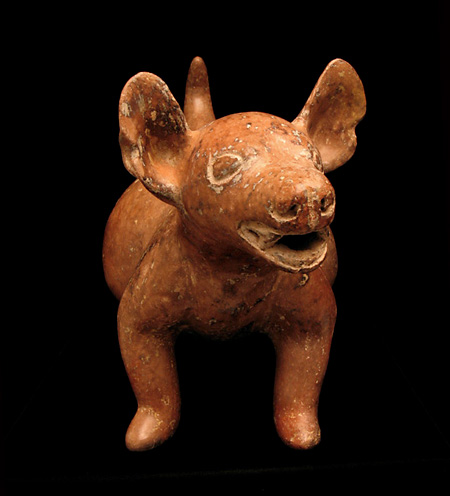 Colima Dog, Ancient West Mexico Pre-Columbian Art